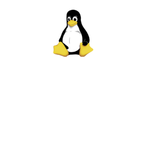 Linux Administrator LPIC-1 Masterclass