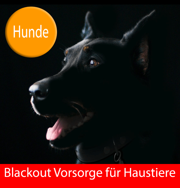 Blackout Vorsorge für Hunde Erfahrungen