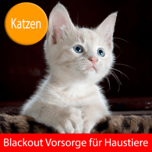 Blackout Vorsorge Spezialkurs-Katzen